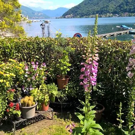 Apartment Lac Brusimpiano *